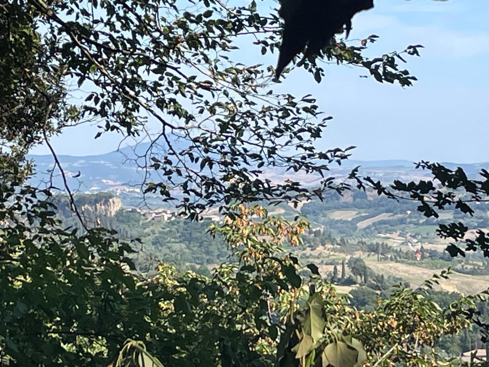 Affaccio Su *